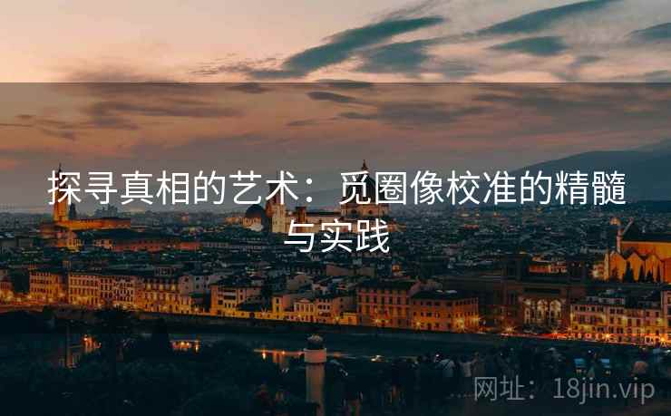 探寻真相的艺术：觅圈像校准的精髓与实践